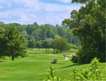 Scenic golf course landscape with golf carts driving along a green fairway surrounded by trees.