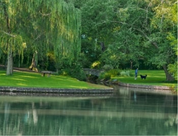 Tranquil park scene with a calm lake, lush greenery, and a person walking a dog along the water’s edge.