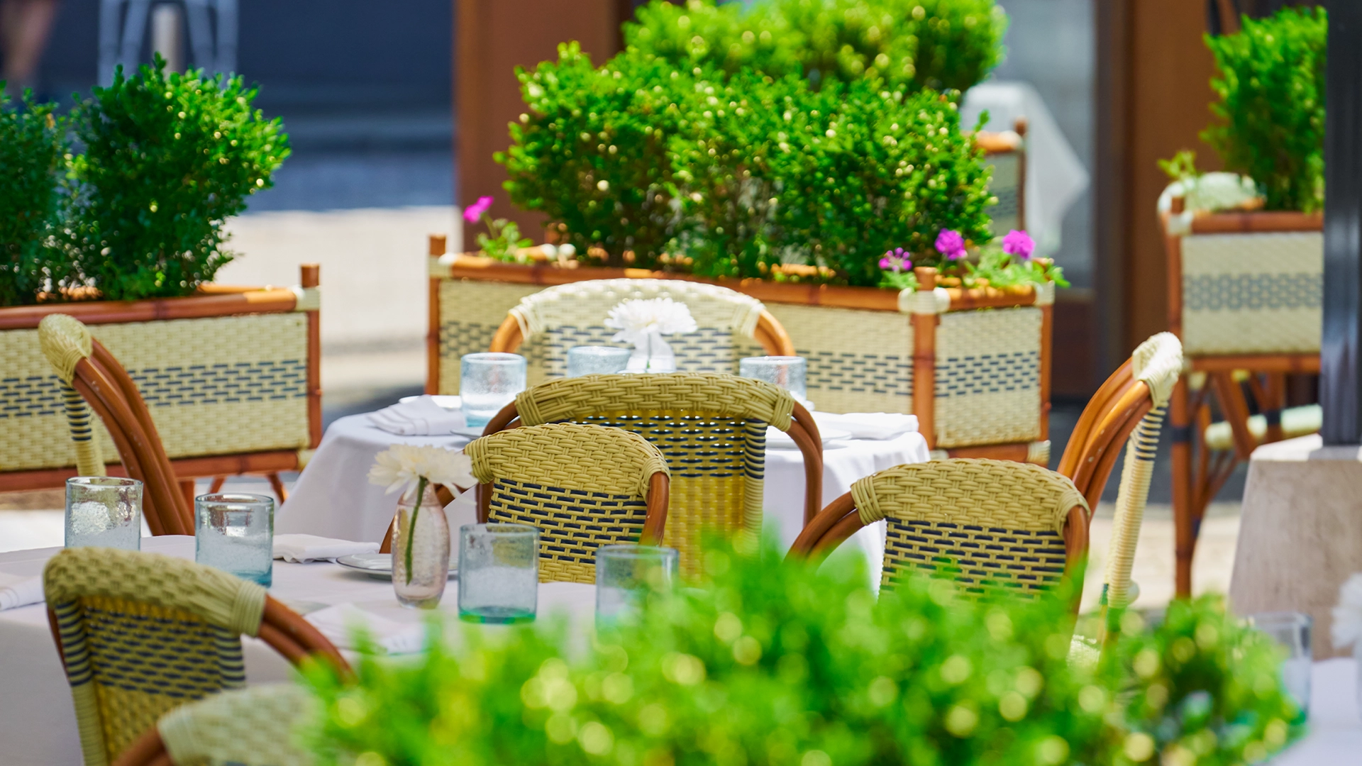 Elyse Buckhead neighborhood header image