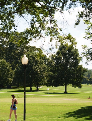 Elyse Buckhead Neighborhood