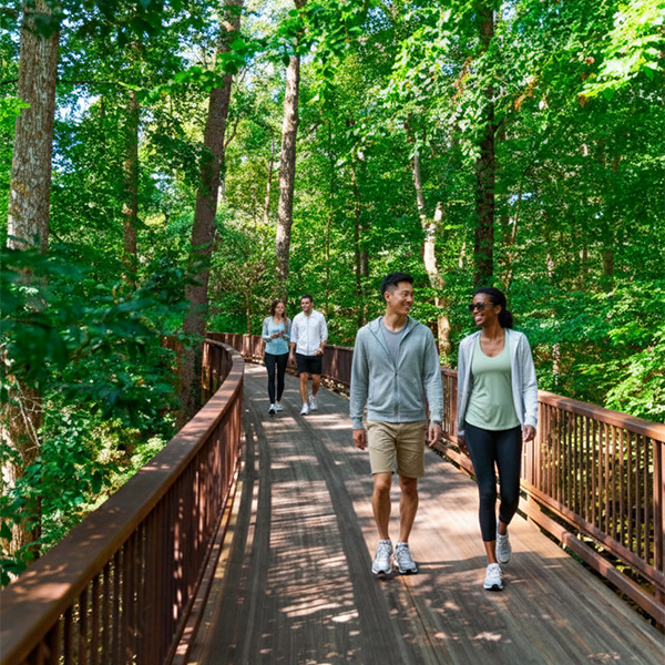 People walking on a wooden boardwalk surrounded by tall green trees.
